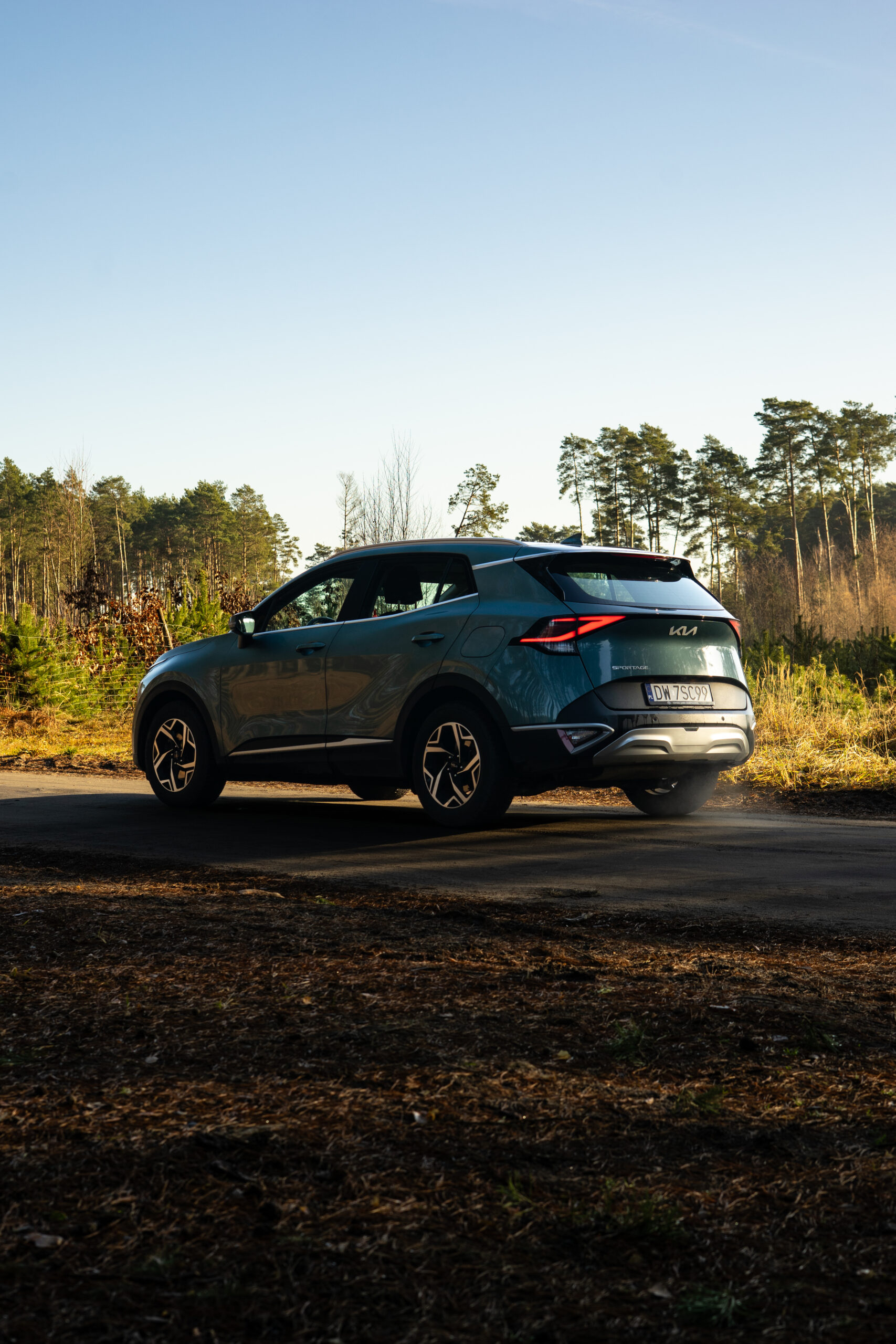 Samochód – ujęcie tylne