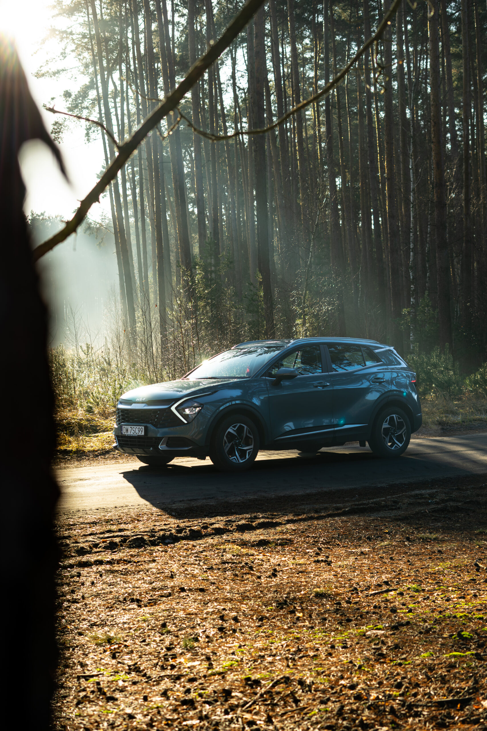 Sesja samochodowa w lesie